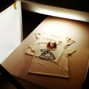 Ｔシャツ、コットンベイブ