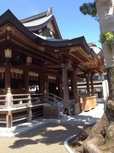 11745894_1461835474134912_1554721475805333523_n