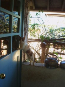 合格者が伝える中小企業診断士試験突破のノウハウ