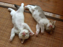 合格者が伝える中小企業診断士試験突破のノウハウ