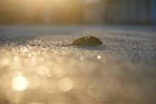 タキプロブログ　合格者が伝える中小企業診断士試験突破のノウハウ！