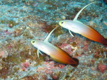 タキプロブログ　合格者が伝える中小企業診断士試験突破のノウハウ！