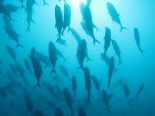 タキプロブログ　合格者が伝える中小企業診断士試験突破のノウハウ！