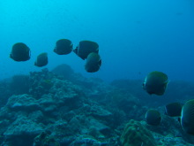 タキプロブログ　合格者が伝える中小企業診断士試験突破のノウハウ！