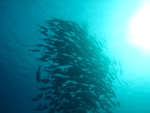 タキプロブログ　合格者が伝える中小企業診断士試験突破のノウハウ！