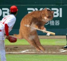 タキプロブログ　合格者が伝える中小企業診断士試験突破のノウハウ！