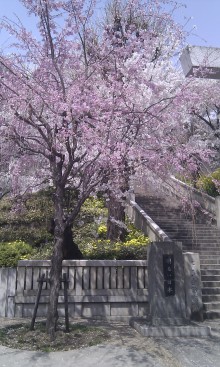 タキプロブログ　合格者が伝える中小企業診断士試験突破のノウハウ！-明るい日本