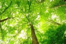 タキプロブログ 合格者が伝える中小企業診断士試験突破のノウハウ!